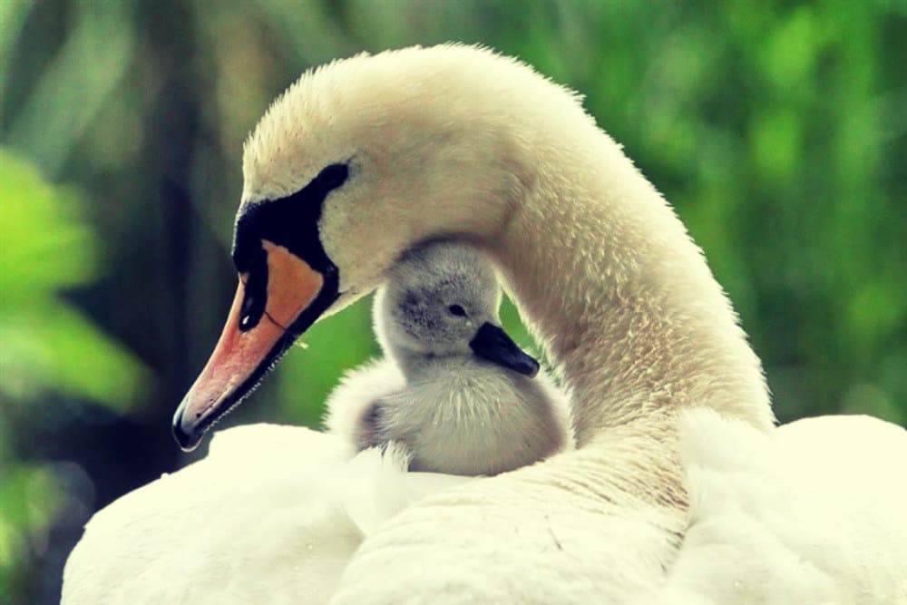 Race affects all relationships