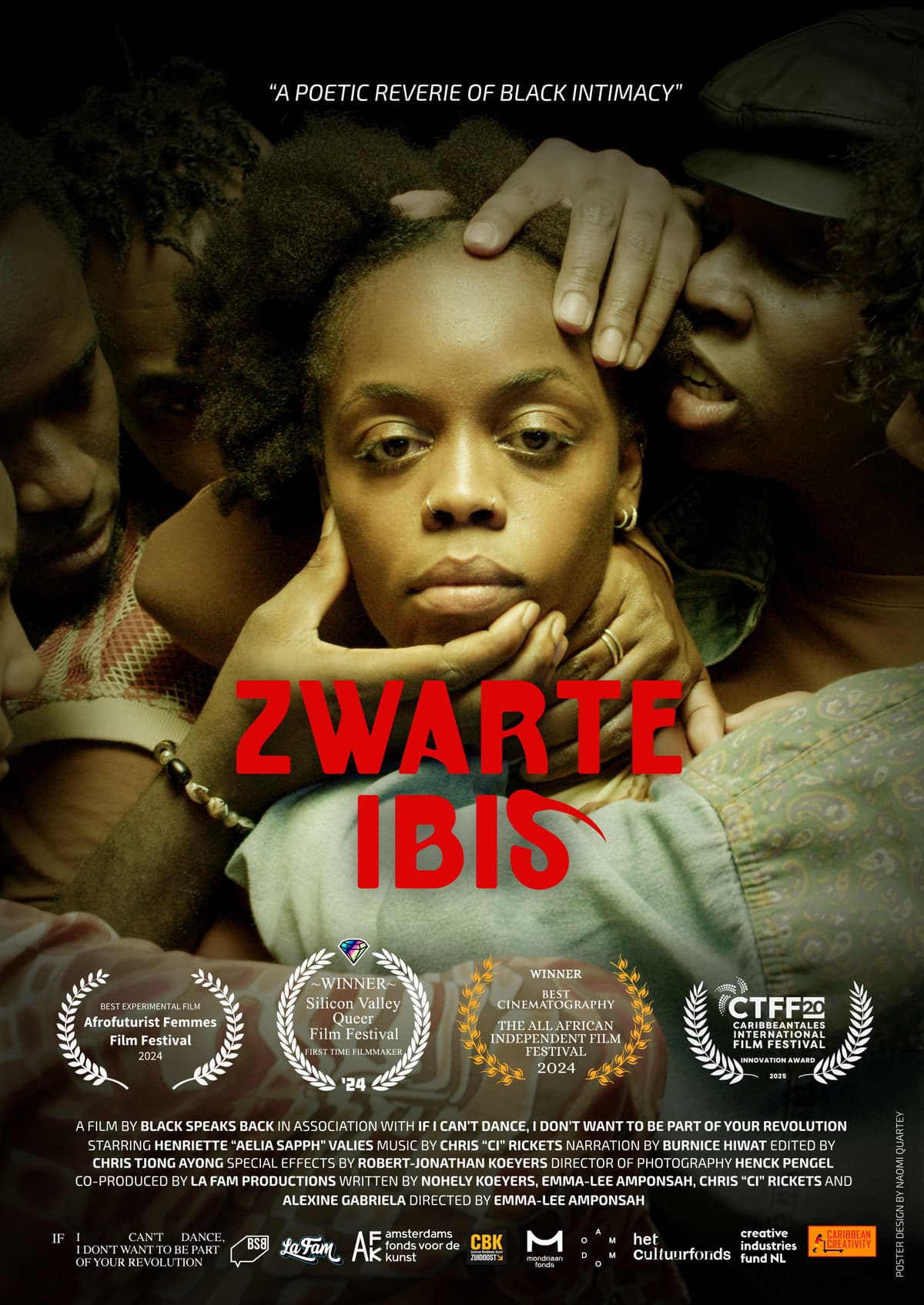 Zwarte Ibis / Black Ibis (2024)