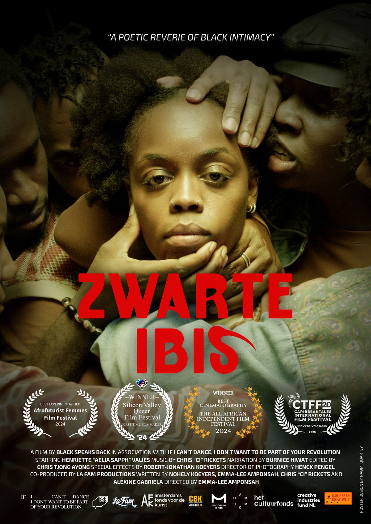 Zwarte Ibis / Black Ibis (2024)
